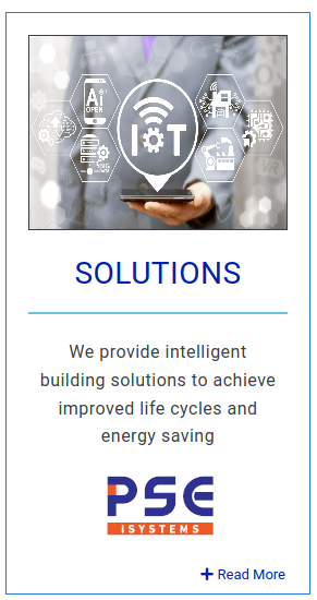 PSE POWER SYSTEM HOLDINGS-2